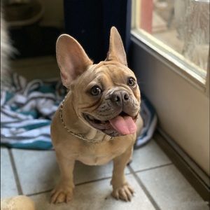 Meet your Posher, Cody